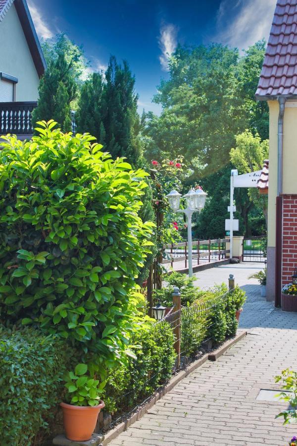 Pension Luisenhof Tangermünde Dış mekan fotoğraf